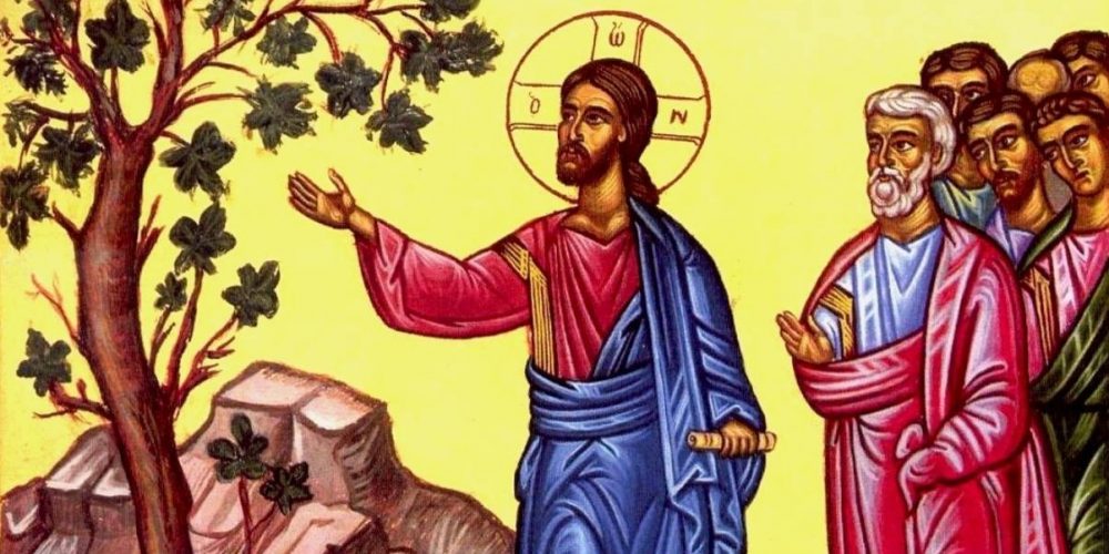 Великий понедельник. Церковь вспоминает проклятие смоковницы