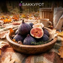 Онлайн-курсы от журнала «Фома»